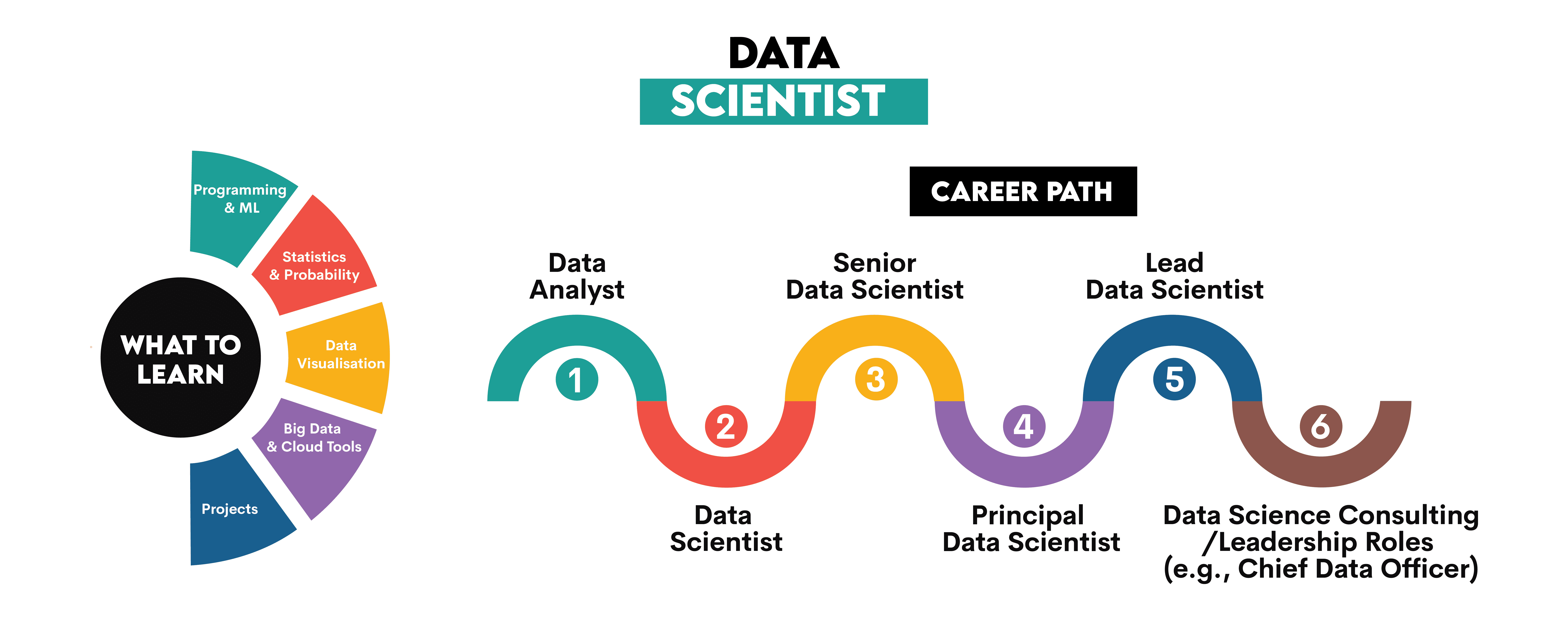 Data Science Career Roadmap: From Student to Professional